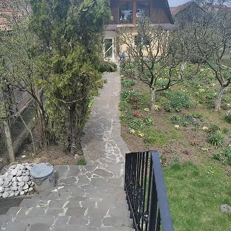 Apartament Casa Alex C & G Brașov
